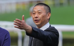 Danny Shum is hopeful Romantic Warrior will take to his Australian feed. Photos: Kenneth Chan