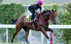 Karis Teetan gallops Helene Feeling at Sha Tin on Monday. Photo: Kenneth Chan