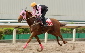 Beauty Joy runs third under Hugh Bowman in his September 15 trial. Photo: Kenneth Chan