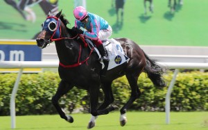 Alexis Badel looks for non-existent dangers aboard Group Three Celebration Cup (1,400m) winner Healthy Happy at Sha Tin on Sunday. Photo: Kenneth Chan