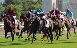 Super Sunny Sing proves too strong at Sha Tin on Sunday. Photos: Kenneth Chan
