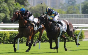 Ka Ying Cheer (inside) holds out Lady’s Choice at Sha Tin on Sunday. Photos: Kenneth Chan