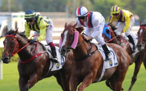 Stoltz (right) wins the Group Three National Day Cup (1,000m) under Zac Purton at Sha Tin. Photos: Kenneth Chan