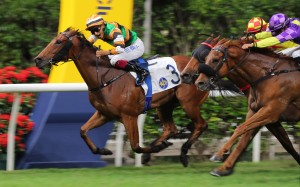 Karis Teetan shouts with delight as Fortune Warrior salutes at Happy Valley last night. Photo: Kenneth Chan