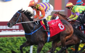 Straight Arron wins the Group Two BOCHK Jockey Club Cup (2,000m) at Sha Tin on Sunday. Photos: Kenneth Chan