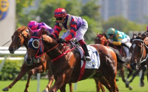Happy Together wins the Class Two Eleanor Handicap (1,600m) at Sha Tin on November 5. Photo: Kenneth Chan