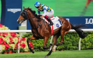 Galaxy Patch wins under Karis Teetan on Sunday. Photo: Kenneth Chan