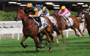 Golden Long delivers on debut under Matthew Chadwick at Happy Valley on Wednesday night. Photos: Kenneth Chan