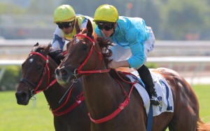Wunderbar wins under James McDonald at Sha Tin on November 26. Photos: Kenneth Chan.