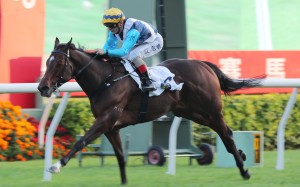 Drombeg Banner makes all in the Class Two Chevalier Car Dealership Handicap (1,400m) at Sha Tin on November 26 under Andrea Atzeni. Photo: Kenneth Chan