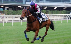 Awesome Fluke trials at Happy Valley on November 25. Photo: Kenneth Chan
