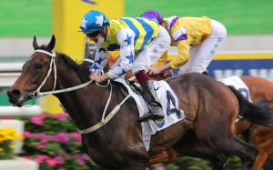 Five G Patch wins over 2,000m at Sha Tin on January 23. Photo: Kenneth Chan