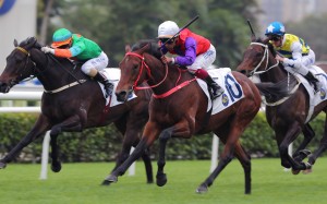 Ensured wins the Class Two Yan Chai Trophy (2,000m) at Sha Tin on Saturday. Photo: Kenneth Chan