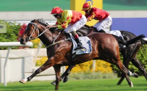 California Spangle and Hugh Bowman win the Group Two Sha Tin Trophy (1,600m) in October. Photo: Kenneth Chan
