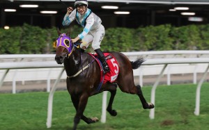 Jockey Jerry Chau laps up Son Pak Fu’s Happy Valley victory on November 29. Photo: Kenneth Chan