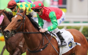 Invincible Sage makes it three wins from three starts this season at Sha Tin in December. Photo: Kenneth Chan