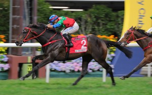 Money Catcher wins last year’s January Cup under Silvestre de Sousa. Photos: Kenneth Chan