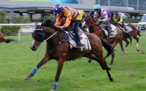 Vincent Ho partners Elliptical in a barrier trial at Happy Valley. Photo: Kenneth Chan