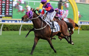 A jubilant Keith Yeung enjoys Fallon’s win at Sha Tin on Saturday. Photos: Kenneth Chan