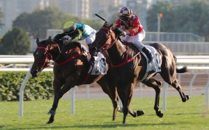 Raging Blizzard (left) edges Gorgeous Win to salute over 1,200m at Sha Tin last month. Photo: Kenneth Chan
