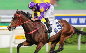 Helios Express passes the Sha Tin winning post after taking out a Class Two contest over 1,600m last month. Photo: Kenneth Chan