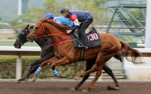 Unbelievable trials under Derek Leung at Sha Tin last month. Photo: Kenneth Chan