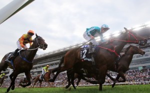 Straight Arron runs on behind Romantic Warrior to finish fourth in December’s Group One Hong Kong Cup (2,000m). Photo: Kenneth Chan
