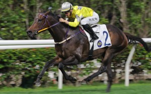 Super Joy N Fun leads all the way for jockey Jerry Chau. Photos: Kenneth Chan