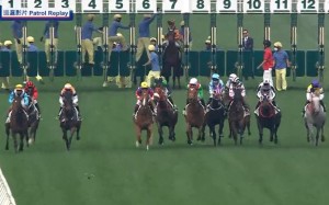 Global Harmony stands in the gates at Sha Tin on February 18. Photo: SCMP