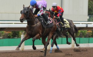 Star Mac relishes the addition of blinkers to win a Sha Tin trial under Karis Teetan. Photos: Kenneth Chan
