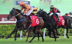 Straight Arron is bound for the Dubai World Cup meeting next month. Photos: Kenneth Chan