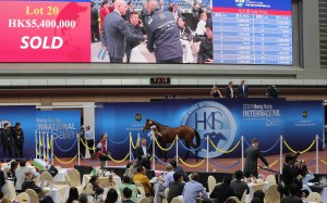 Action from Friday night’s Hong Kong International Sale at Sha Tin. Photos: Kenneth Chan