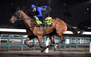 Galaxy Patch gallops under Blake Shinn at Sha Tin on Monday morning. Photo: Kenneth Chan