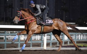 Unbelievable gallops on the all-weather track at Sha Tin ahead of the Hong Kong Derby. Photos: Kenneth Chan