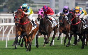 Zac Purton guides Massive Sovereign to an outstanding first-up win. Photos: Kenneth Chan