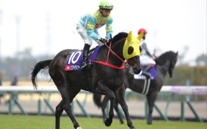 Victor The Winner and Derek Leung finish third in the Group One Takamatsunomiya Kinen (1,200m) at Chukyo racecourse. Photo: Kenneth Chan