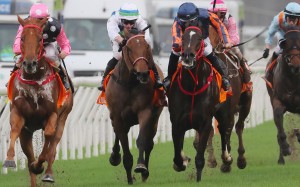Voyage Bubble (second from left) runs third behind Beauty Eternal in Sunday’s Champions Mile. Photo: Kenneth Chan