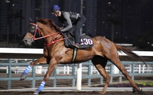 Unbelievable gallops on the Sha Tin dirt under Harry Bentley. Photo: Kenneth Chan