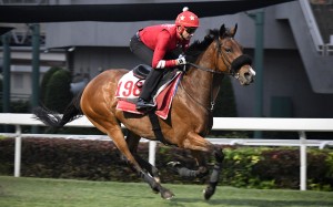 Douglas Whyte gallops Russian Emperor at Sha Tin last month. Photo: Kenneth Chan