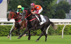 The Winnabe maintains his unbeaten record at Sha Tin on Saturday. Photos: Kenneth Chan