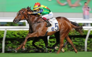 Premier Cup winner Mugen is in top order in Japan. Photos: Kenneth Chan