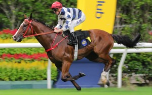 Packing Power makes it two from two at Happy Valley. Photos: Kenneth Chan