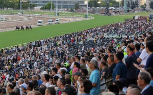 A healthy crowd cheers as the field powers down the Sha Tin straight. Photos: Kenneth Chan