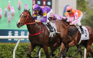 Helios Express, pictured winning the Classic Mile, will be aimed at December’s Hong Kong Sprint. Photos: Kenneth Chan