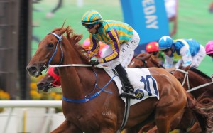 Vincent Ho steers Karma to a decisive victory at Sha Tin on October 20. Photos: Kenneth Chan