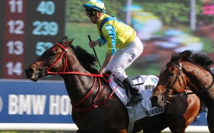Massive Sovereign wins the Hong Kong Derby. Photo: Kenneth Chan 