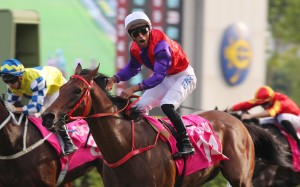 Karis Teetan hollers as Ensued snares Sunday’s Group Three Sa Sa Ladies’ Purse (1,800m). Photos: Kenneth Chan