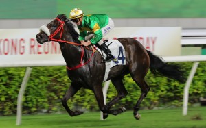 Bottomuptogether rises to 1,400m for the first time in Saturday’s Panasonic Cup. Photo: Kenneth Chan