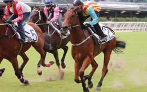 Circuit Jolly (right) trials at Happy Valley in October. Photos: Kenneth Chan