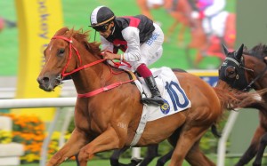 Young Champion powers to victory under Karis Teetan in March. Photos: Kenneth Chan